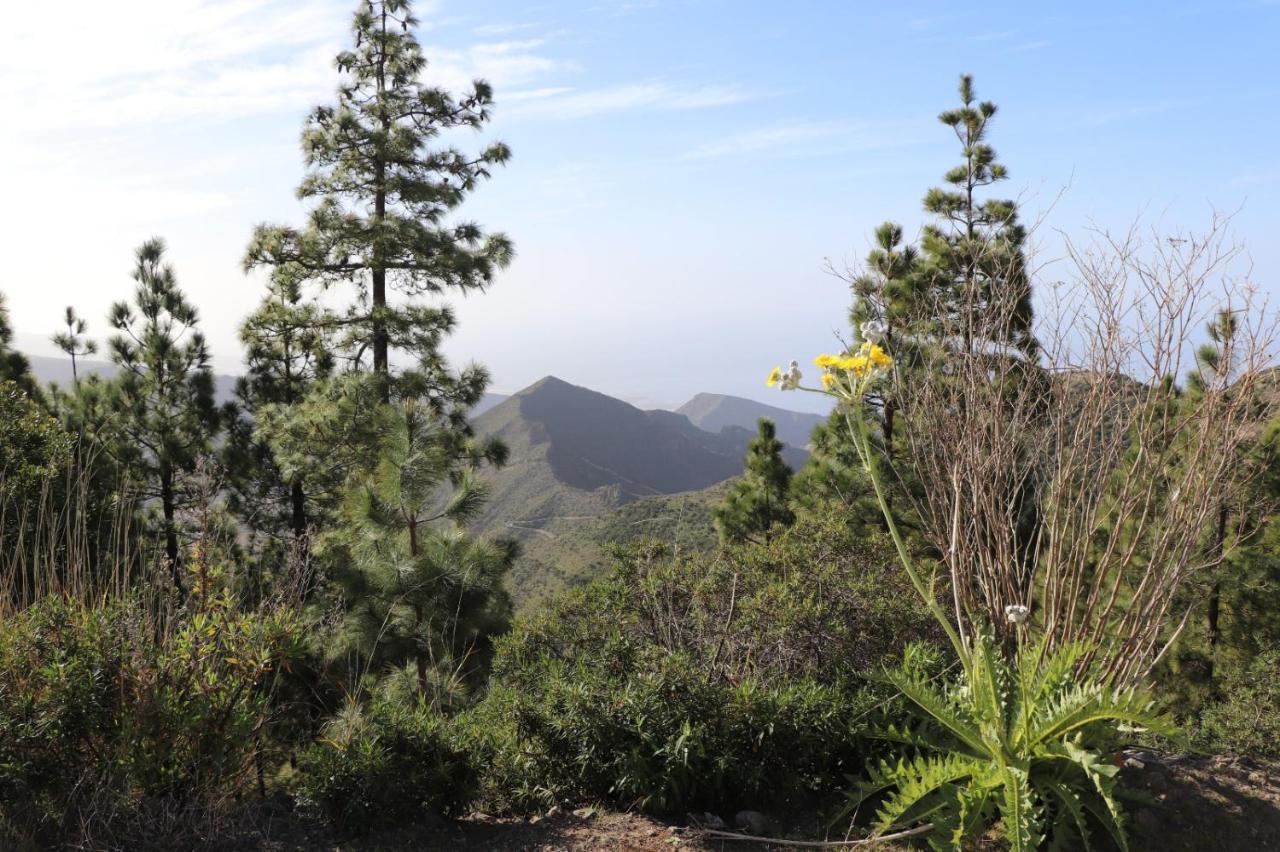 Traditional Canarian Home With Fantastic View Santiago del Teide Exteriér fotografie